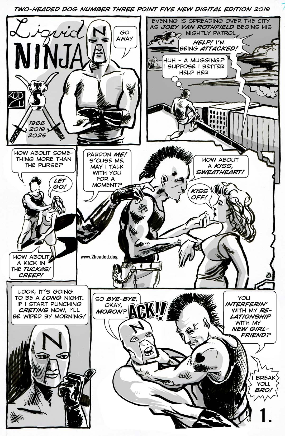 Liquid NINJA PAGE ONE 2025 AND 1988